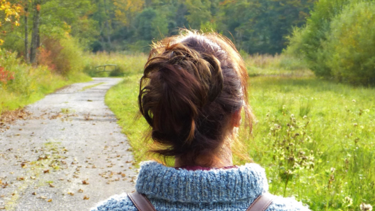 Camino y cultivo de la consciencia, integración y regulación emocional