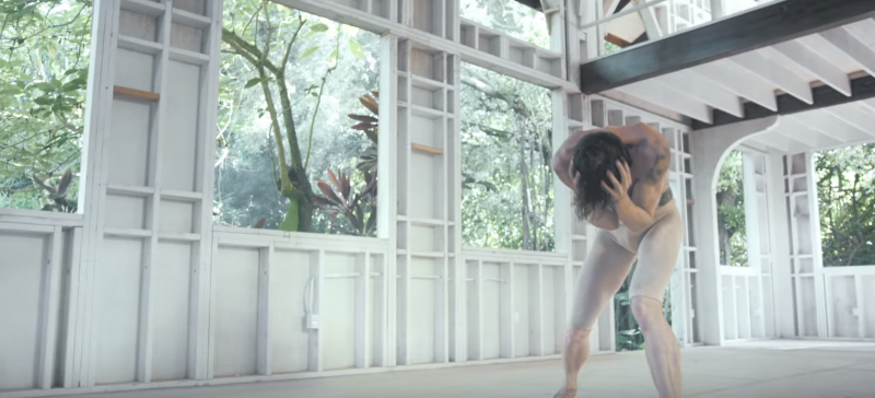 El maravilloso lenguaje del cuerpo