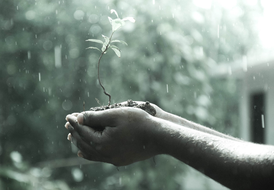 Mindfulness para el equilibrio Físico, Mental y Emocional: presentación 21 septiembre 2016