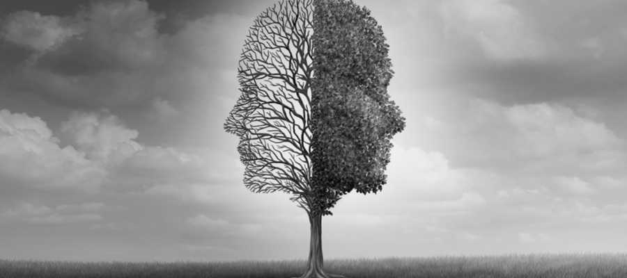 Ipsimed en los VII Encuentros de Otoño de la Federación de Asociaciones de Psicólogos y Médicos Psicoterapeutas de España (FAPyMPE)