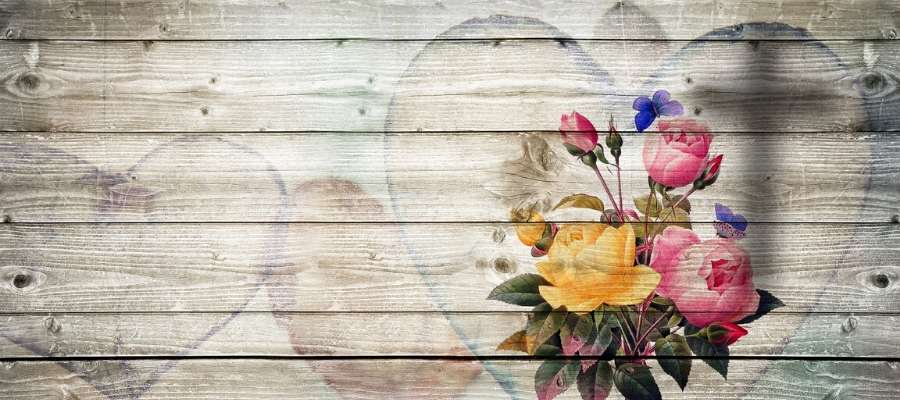 Los profesionales sanitarios comparten su dolor y expresan condolencias