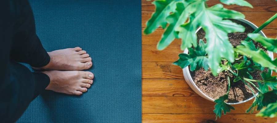 Yoga Terapéutico online