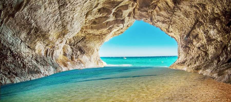 Cierre del curso Ipsimed 2021: ¡Feliz Verano!