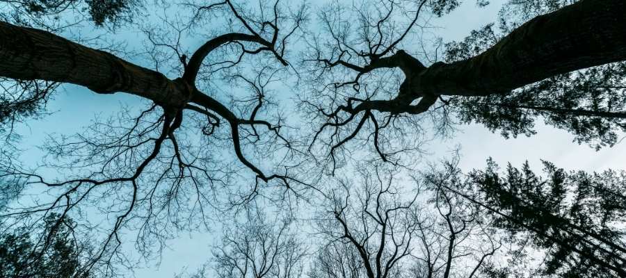 Mare of Easttown: Mucho más que un thriller policíaco