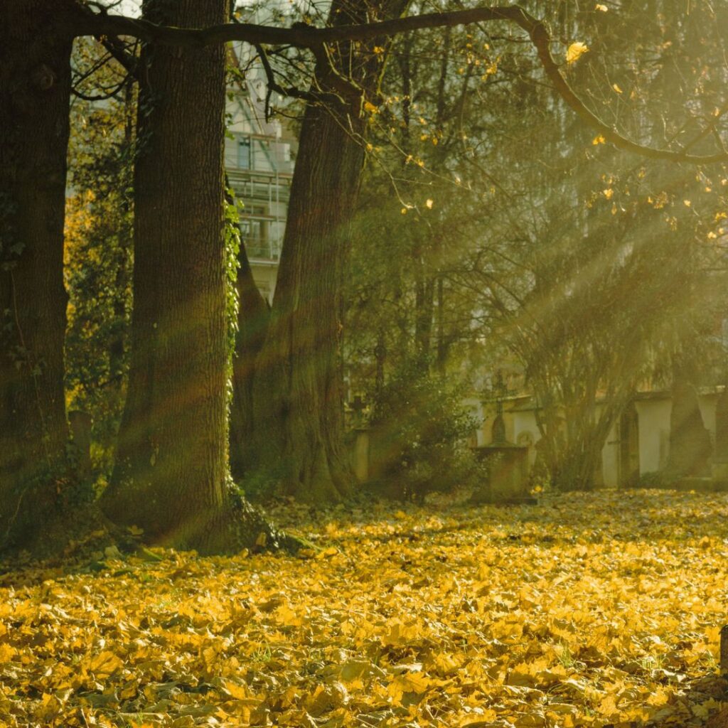 El Día de Todos Los Santos como espacio de recuerdo y reconexión