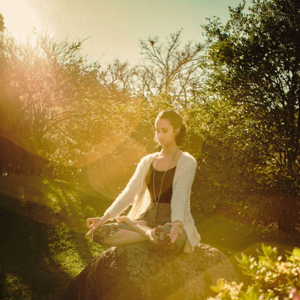 Taller «Prácticas Meditativas en la Vida Cotidiana» para la familia Ipsimed